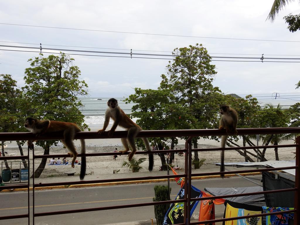 The Elephant Castle Beach Front Penthouse Manuel Antonio Εξωτερικό φωτογραφία